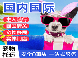 大连周水子机场邮寄国际宠物托运 【国
